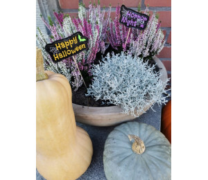 Stickdatei ITH - Happy Halloween Banner & Stecker